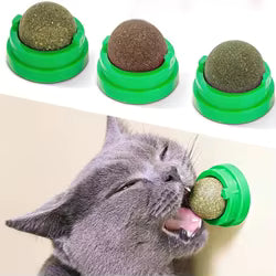 Catnip Para Gatos
