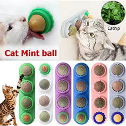 Catnip Para Gatos