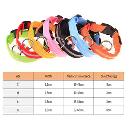Collar Luminoso LED Recargable